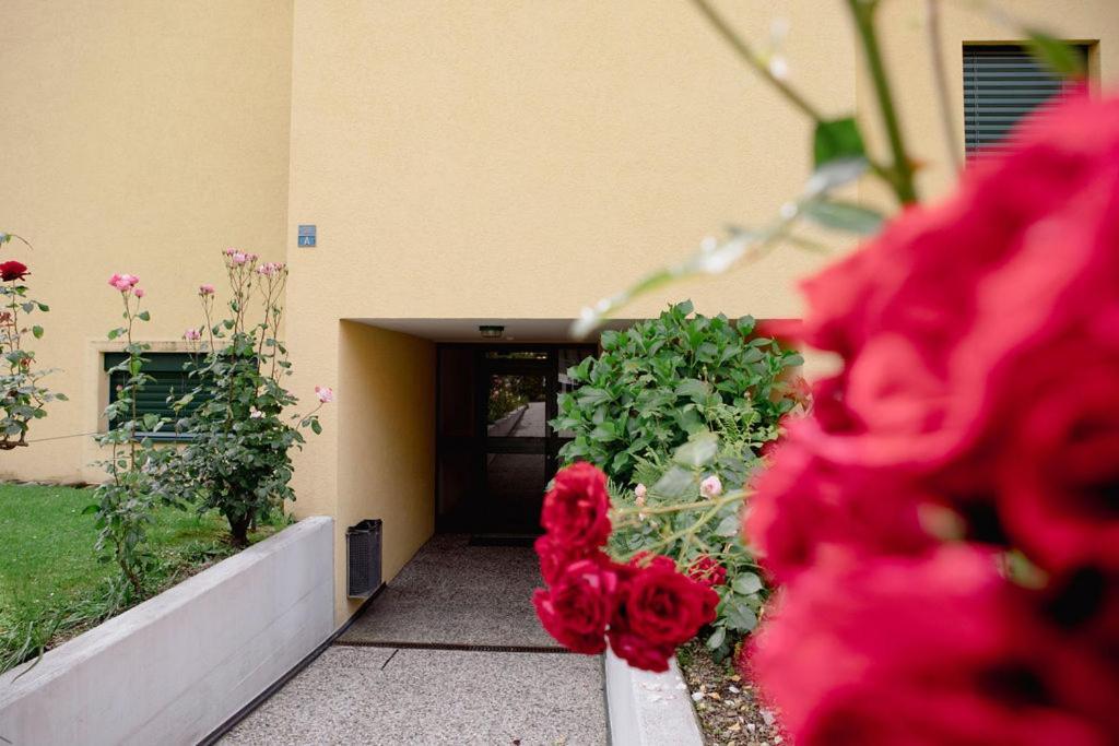 Residenza Robinia - Objekt 6500 Apartment Locarno