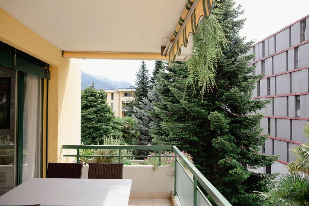 Apartment Residenza Robinia - Objekt 6500